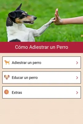 Como adiestrar un perro android App screenshot 0