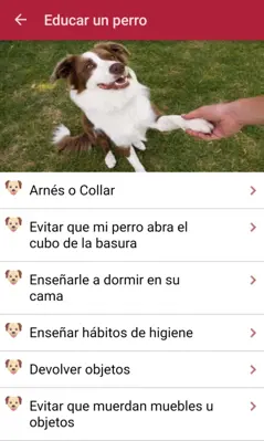 Como adiestrar un perro android App screenshot 1