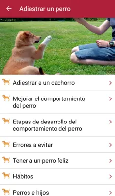 Como adiestrar un perro android App screenshot 3