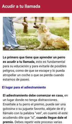 Como adiestrar un perro android App screenshot 4